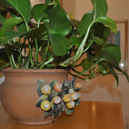 Apartamento Ginevra