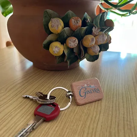 Ginevra *