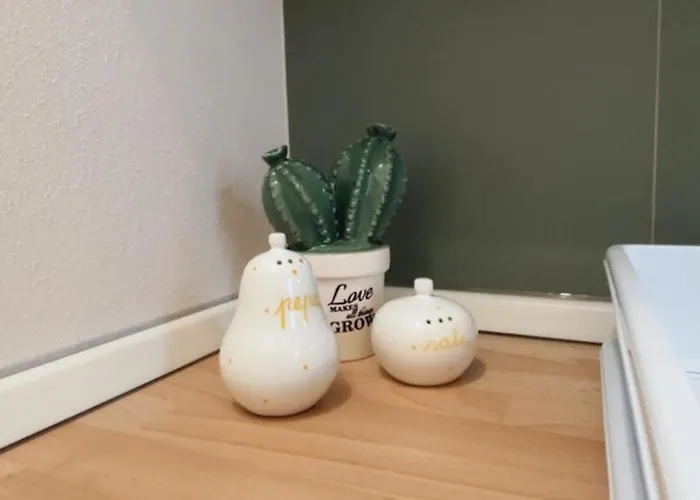 Ginevra 公寓 维罗纳